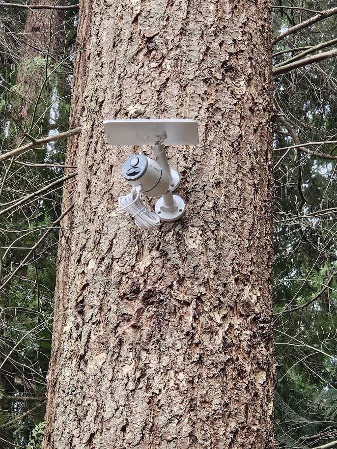 Reolink Go Ultra camera and Solar Panel 2 mounted outdoors in a Pacific Northwest forest setting